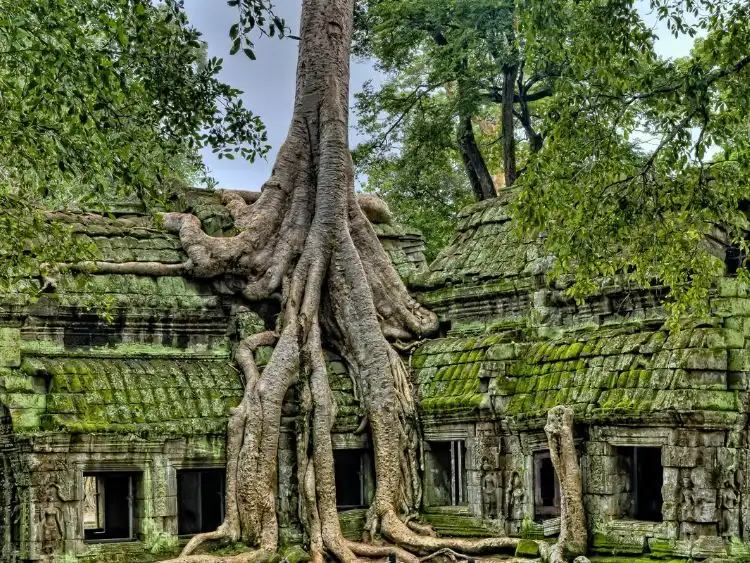 Siem Reap