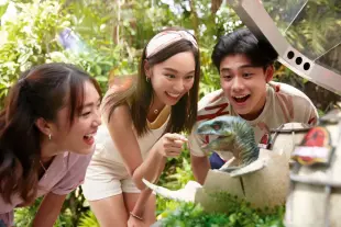 Book Universal Studios Singapore One-Day Ticket | Instant Confirmation & Best Price