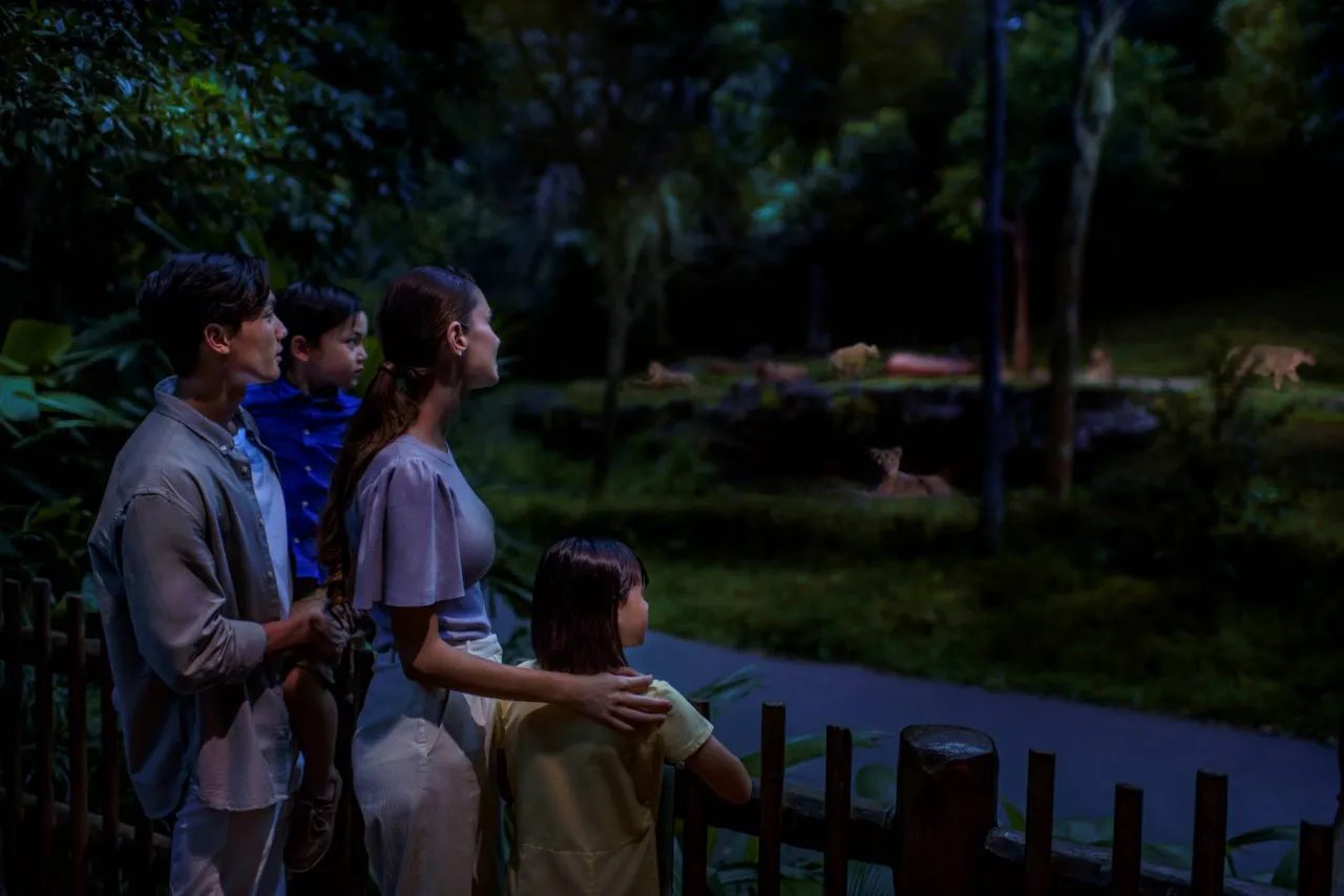 Skip Line Singapore Night Safari Direct Entry Ticket with Tram Ride