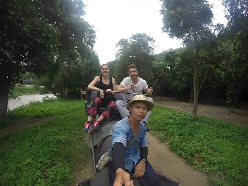 Chiang Mai Maetaeng Elephant Park Tour Enjoy Thrilling Elephant Fun