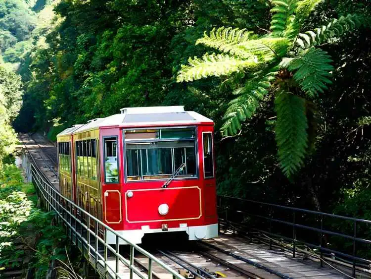 Hong Kong Tour Experience the Magic of Victoria Peak