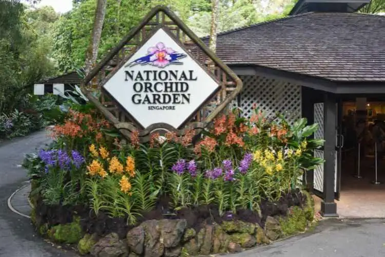 Private Half Day Singapore City Tour with Incredible Orchid Garden