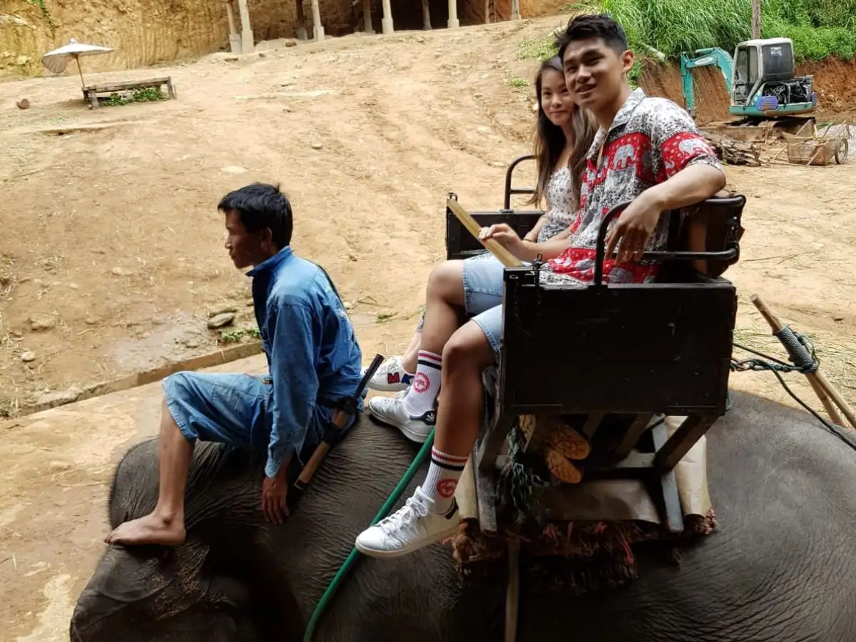 Exciting Mae Rim Tour with Elephant Ride Private Transfer Personal Guide