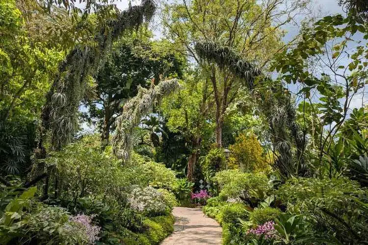 Private Half Day Singapore City Tour with Incredible Orchid Garden