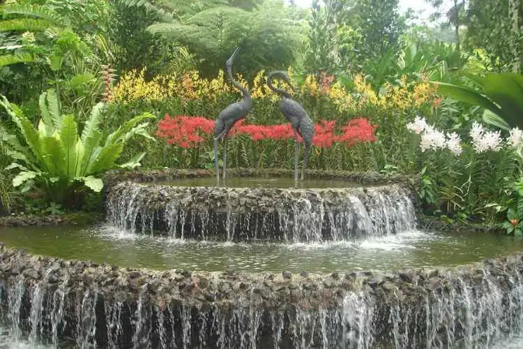 Private Half Day Singapore City Tour with Incredible Orchid Garden