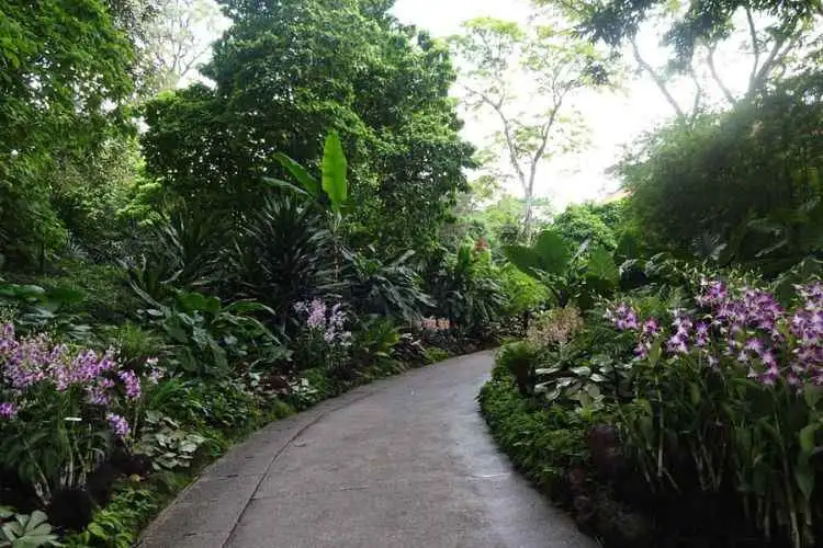 Private Half Day Singapore City Tour with Incredible Orchid Garden