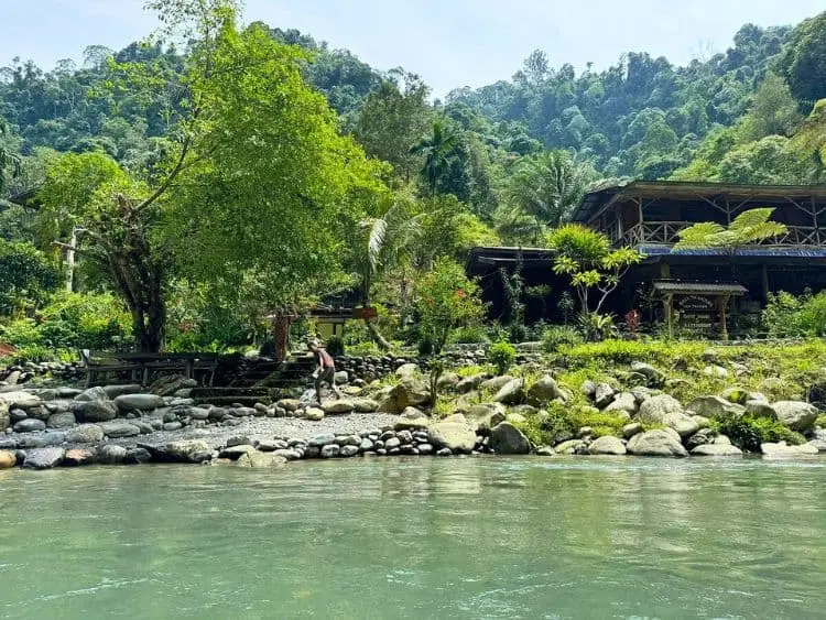 Scenic Private Bukit Lawang Trekking Tour from Medan