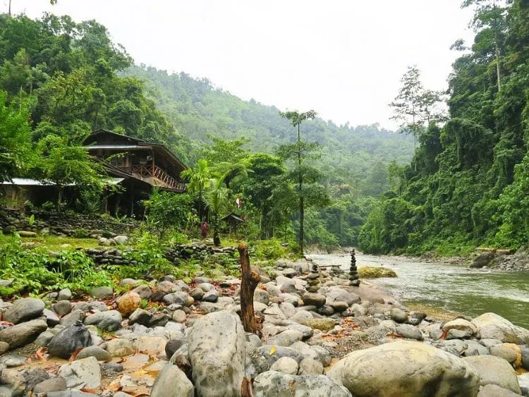 Scenic Private Bukit Lawang Trekking Tour from Medan