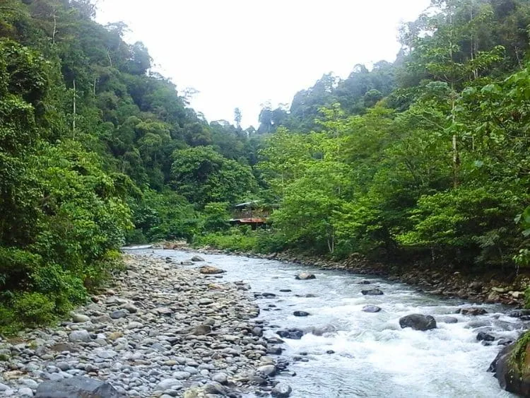 Scenic Private Bukit Lawang Trekking Tour from Medan