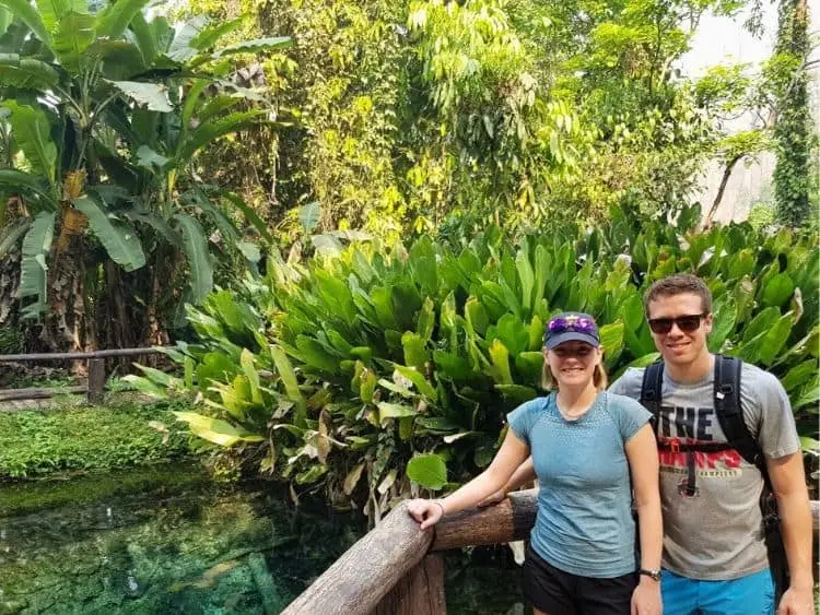 Unforgettable Private Bua Thong Sticky Falls Tour Chiang Mai