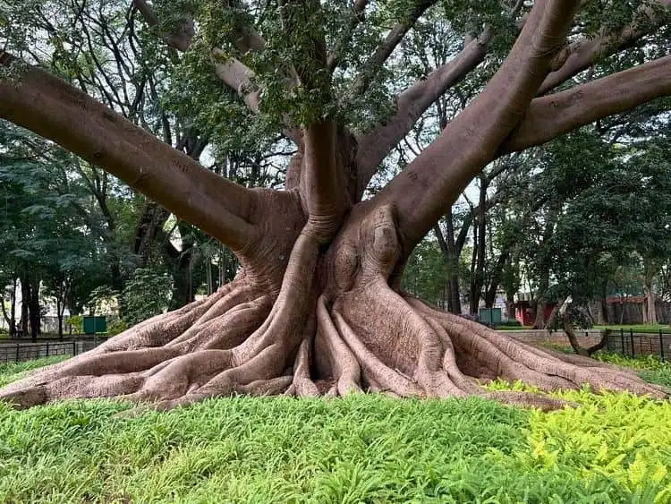 Ultimate Private Full-Day Bangalore City Tour