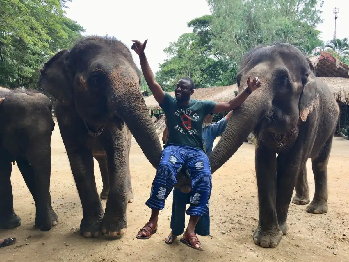 Exciting Mae Rim Tour with Elephant Ride Private Transfer Personal Guide