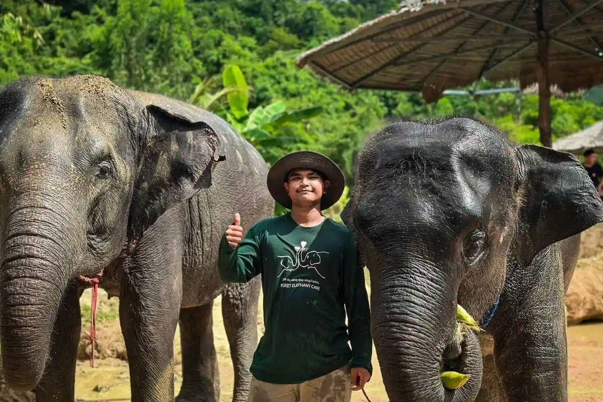 Half-Day Phuket Elephant Care Sanctuary Tour Experience You Will Always Remember