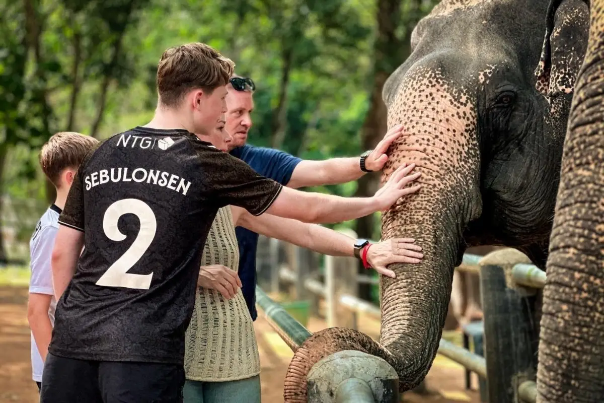Half-Day Phuket Elephant Care Sanctuary Tour Experience You Will Always Remember