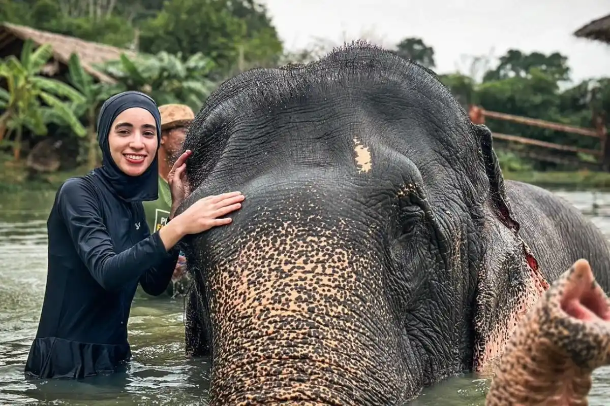 Half-Day Phuket Elephant Care Sanctuary Tour Experience You Will Always Remember