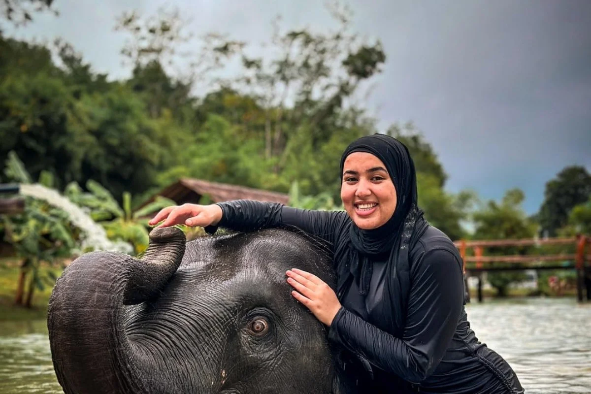 Half-Day Phuket Elephant Care Sanctuary Tour Experience You Will Always Remember