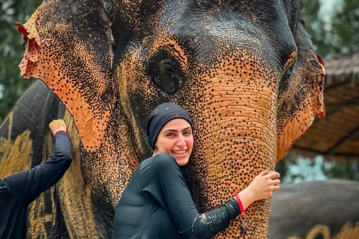 Half-Day Phuket Elephant Care Sanctuary Tour Experience You Will Always Remember